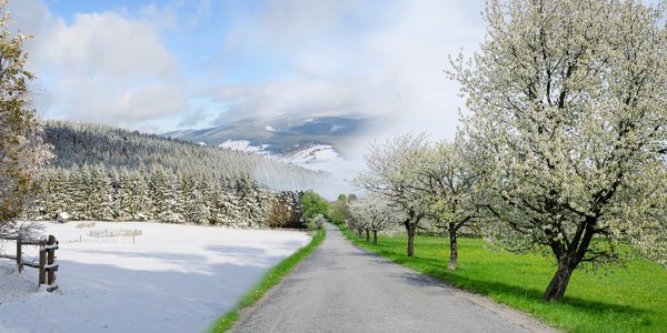 Landschaft an der Straße geteilt zwischen Frühling und Winter.